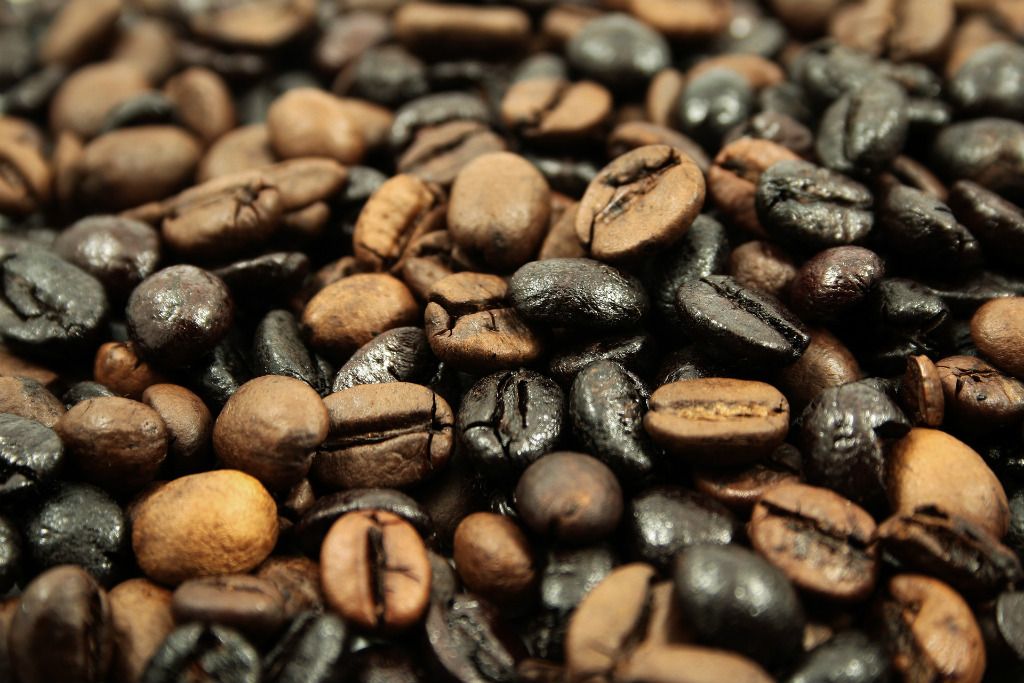 Granos de café torrefacto