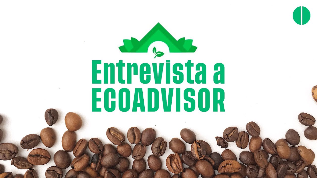Ecoadvisor