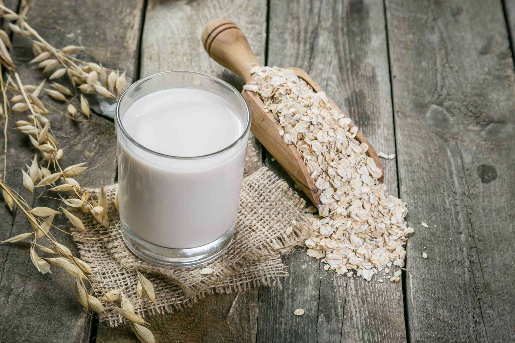 Bebida de leche