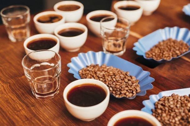 Evaluación del café