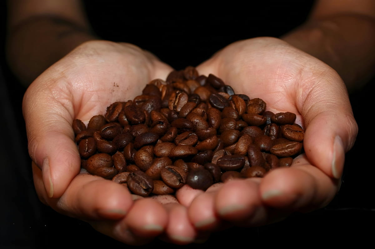 ¿Qué es el café en grano y por qué elegirlo?