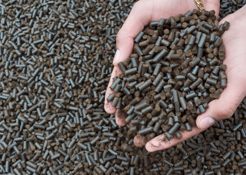 Pellets de café