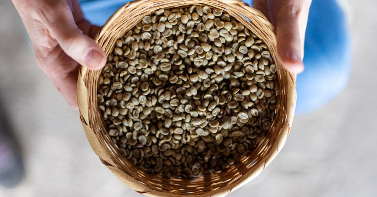 Granos de café verde sin tostar, el punto de partida de su composición química