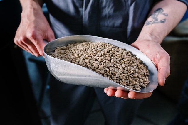 Granos de café verde