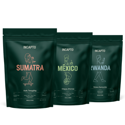 Pacote de 3 cafés exóticos
