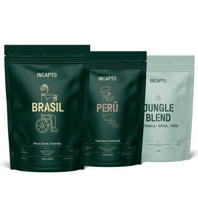 Pacote de 3 cafés para beber com leite