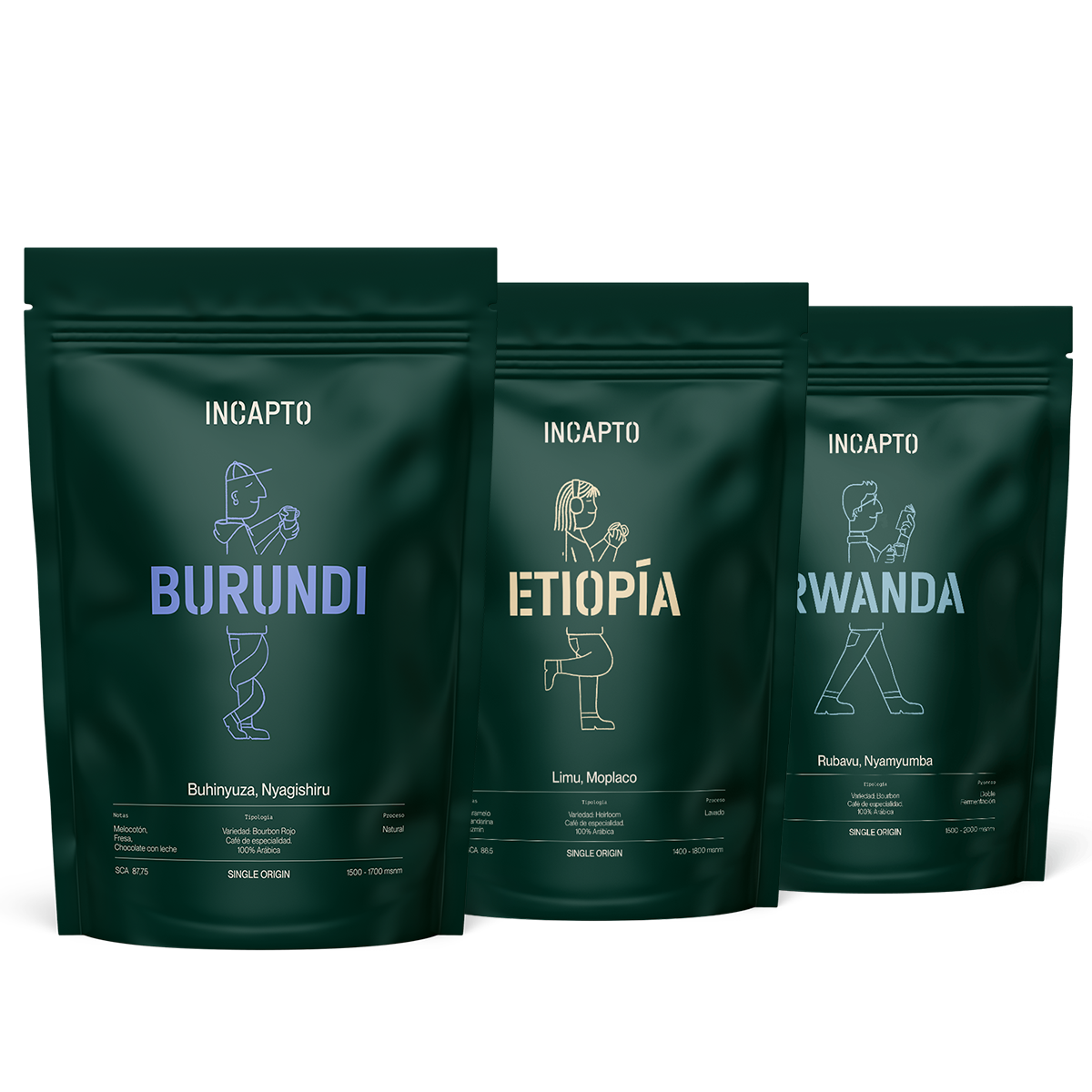 Pacote de degustação de grãos de café de África - Incapto