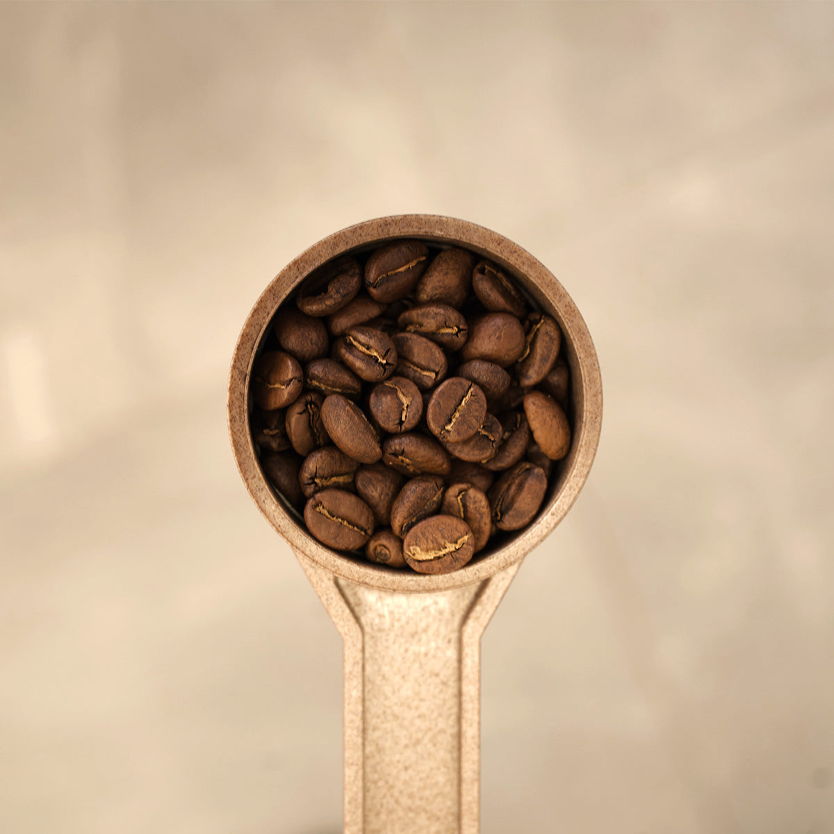 INCAPTO Spoon: measuring spoon for coffee beans - Incapto