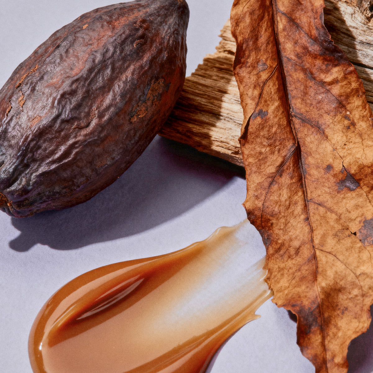 Notes Blend d'Hivern