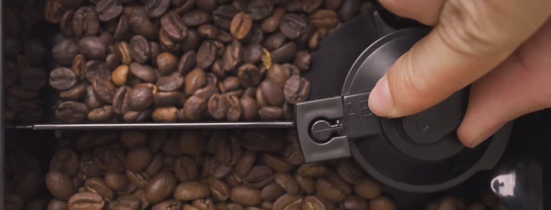 Cafetera Incapto Duo - doble tolva doble variedad