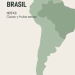 Notas cafe descafeinado brasil