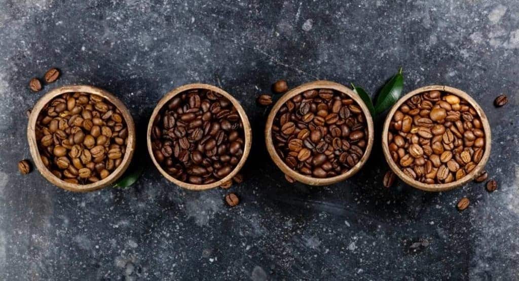 Tipos de granos de café - EUSKOVAZZA