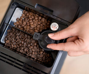 Persona seleccionant una de les tremuges